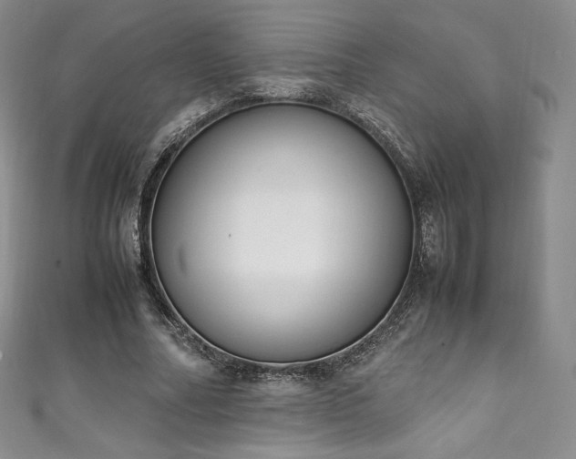 X0000111140682200906301231