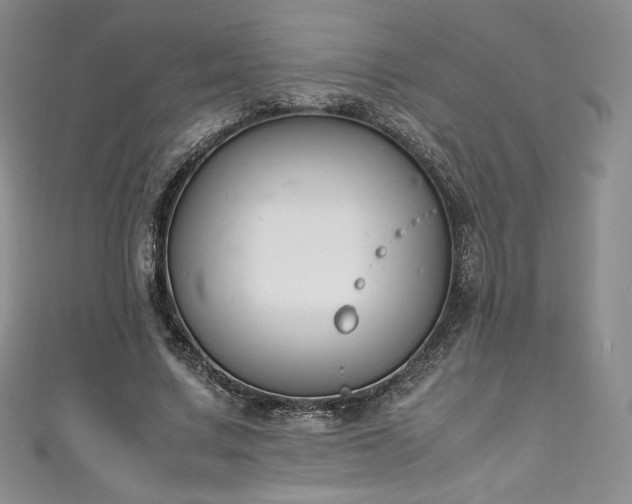 X0000111140683200906301230