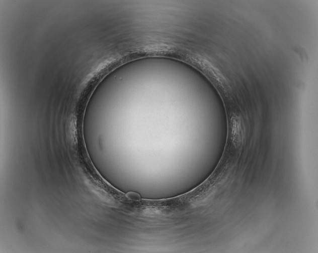 X0000111140684200906301230