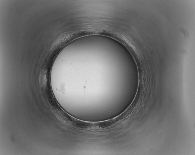 X0000111140685200906301230