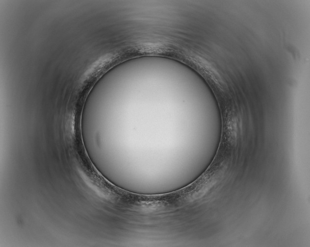 X0000111140686200906301230