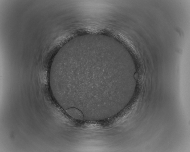 X0000111140689200906301230