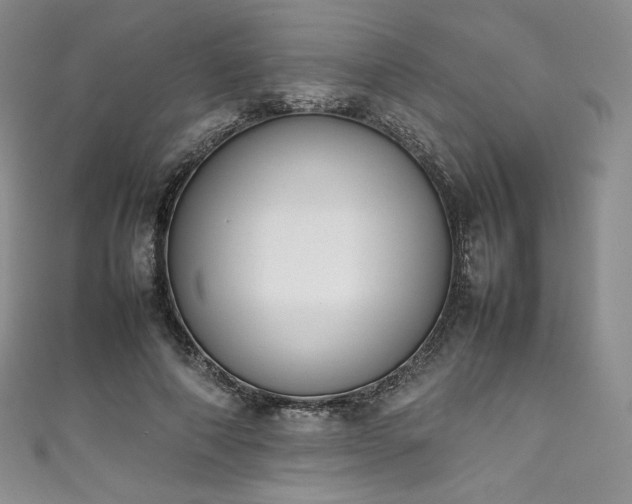 X0000111140690200906301230