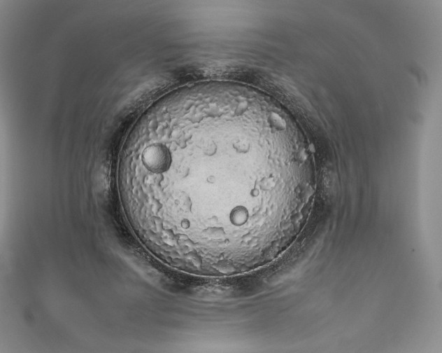 X0000111140691200906301230