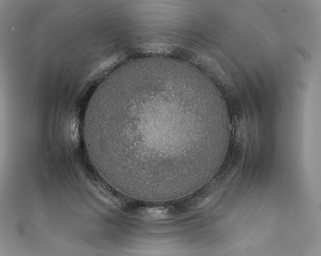 X0000111140692200906301230