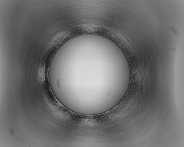 X0000111140694200906301230