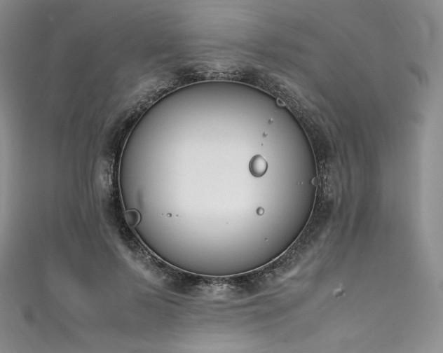 X0000111140695200906301230