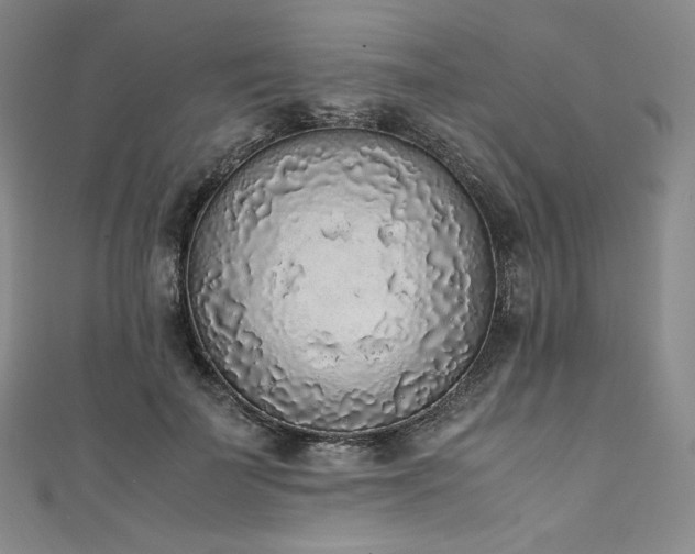 X0000111140699200906301230