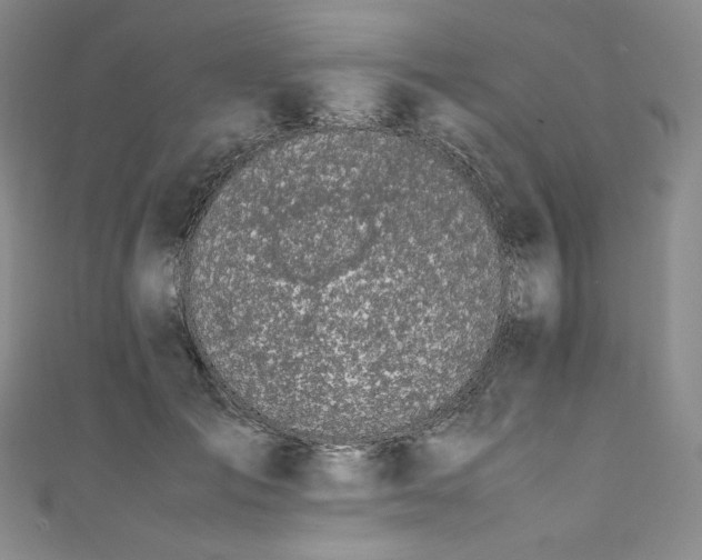 X0000111140701200906301230