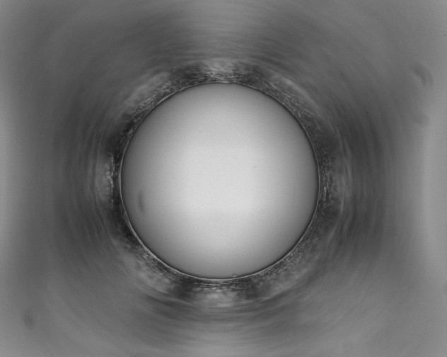 X0000111140702200906301230