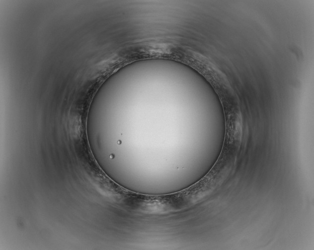 X0000111140704200906301230