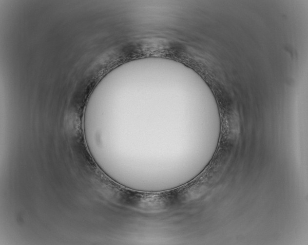 X0000111140705200906301230