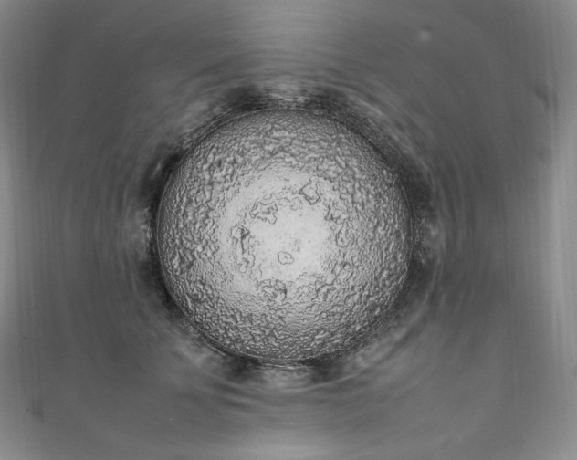 X0000111140707200906301230