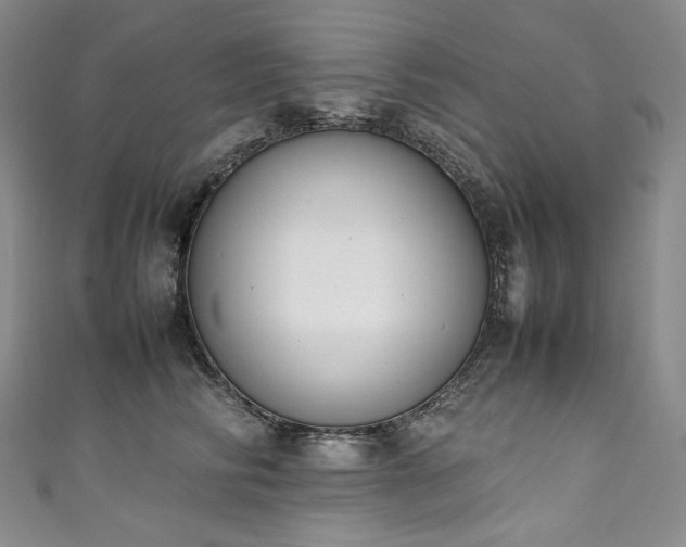 X0000111140710200906301230