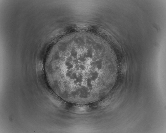 X0000111140711200906301230