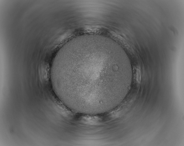 X0000111140712200906301230