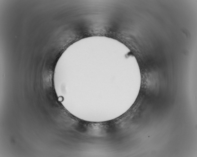 X0000111140717200906301230