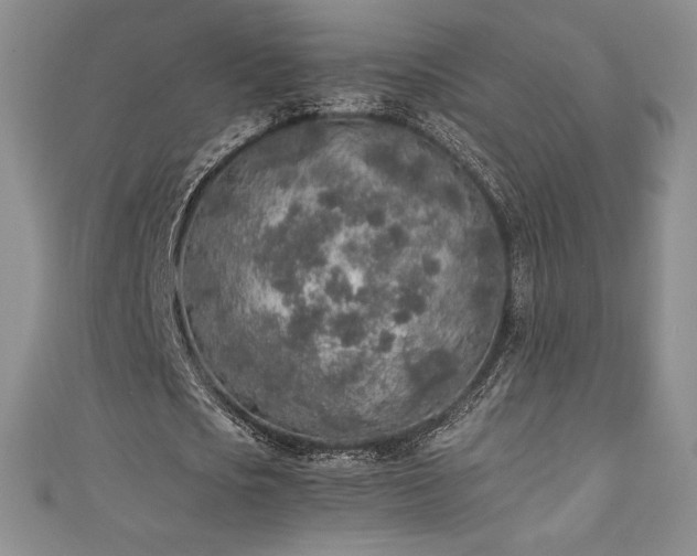 X0000111140721200906301229