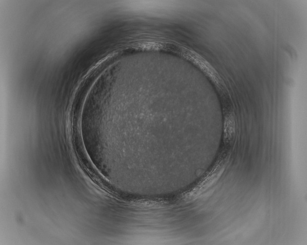 X0000111140722200906301229