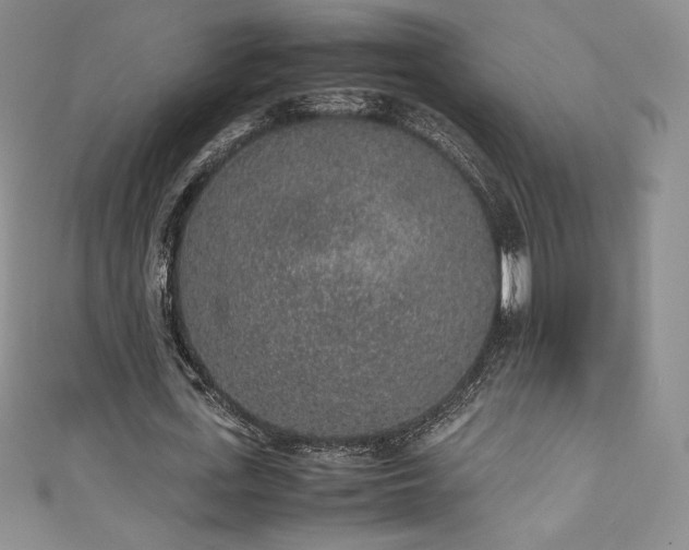 X0000111140723200906301229