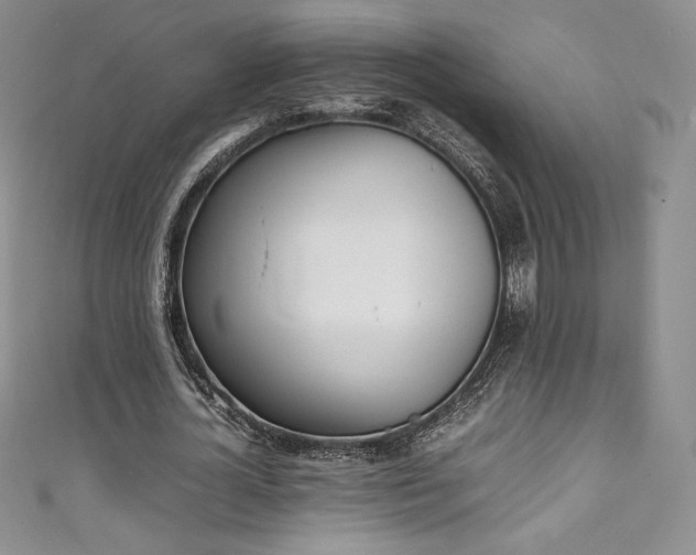 X0000111140724200906301229