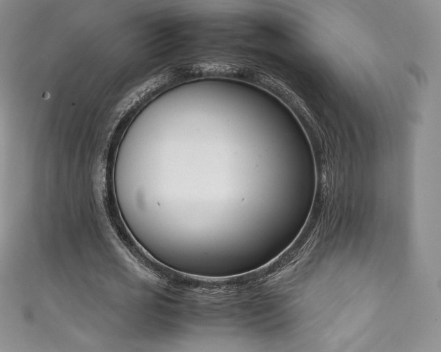 X0000111140725200906301229