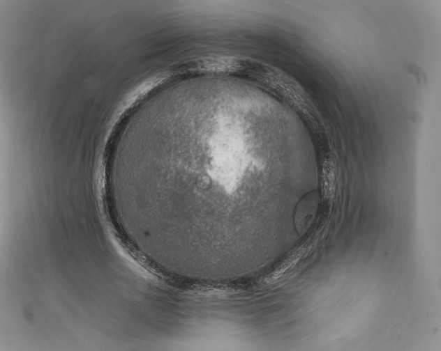 X0000111140726200906301229