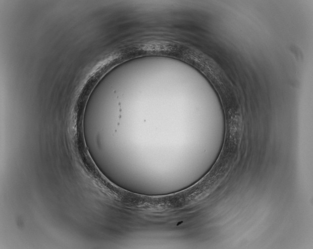 X0000111140727200906301229