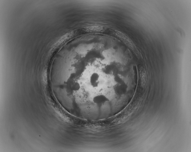 X0000111140729200906301229