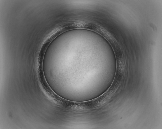 X0000111140730200906301230