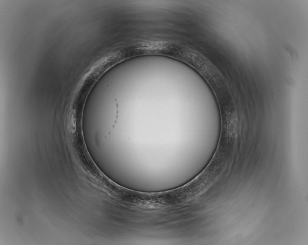 X0000111140731200906301230