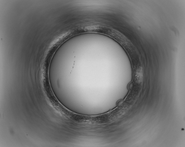 X0000111140732200906301230