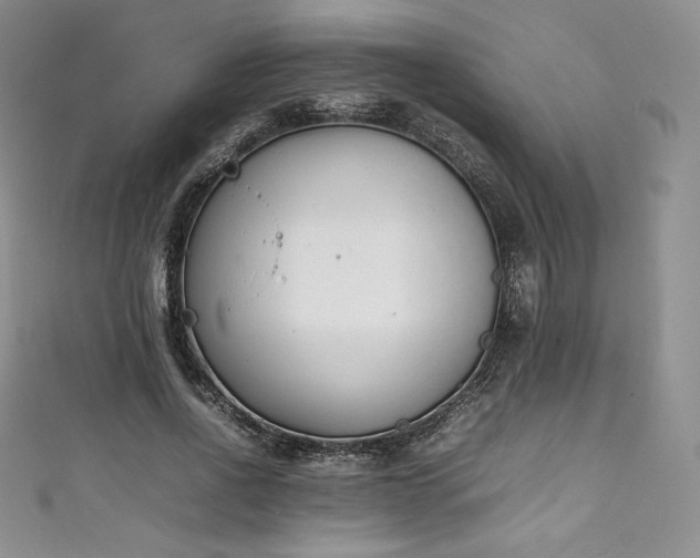 X0000111140734200906301230