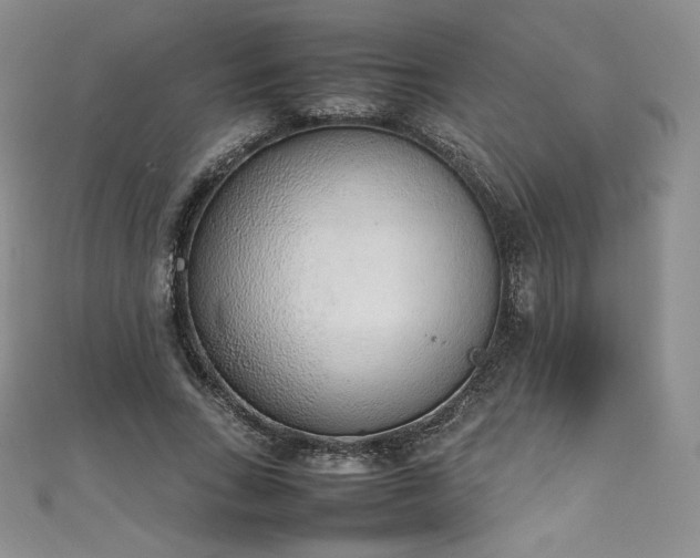 X0000111140735200906301230