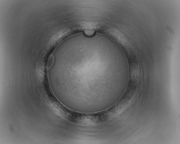 X0000111140736200906301230