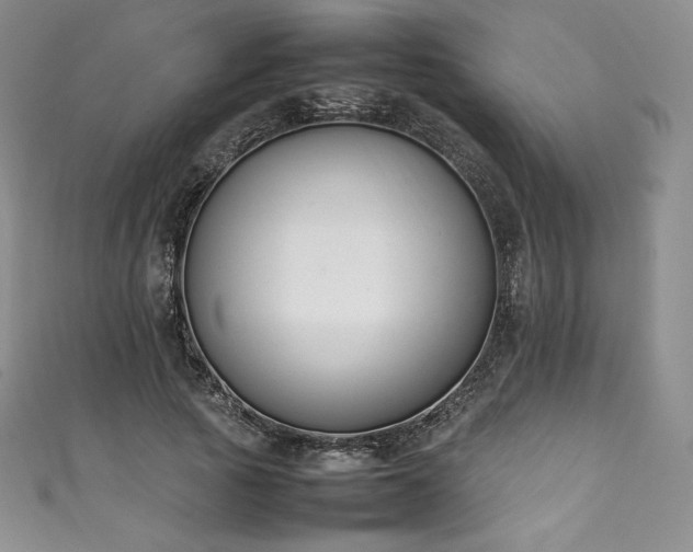 X0000111140737200906301230