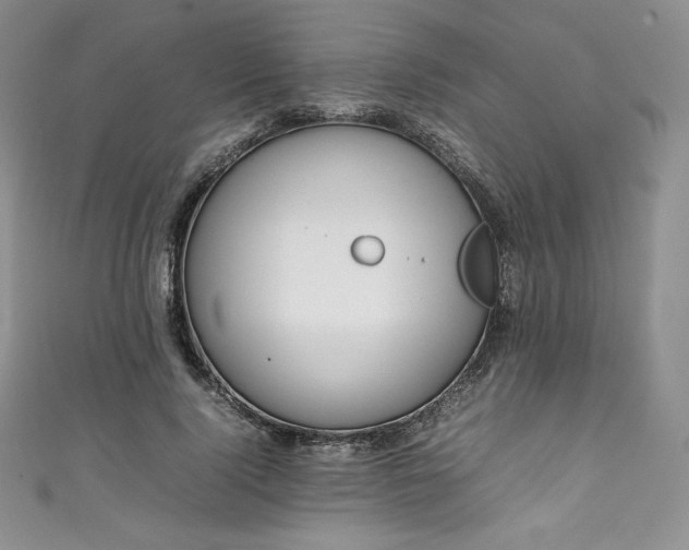 X0000111140740200906301230