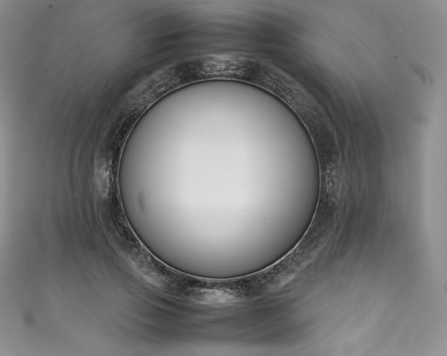 X0000111140741200906301230