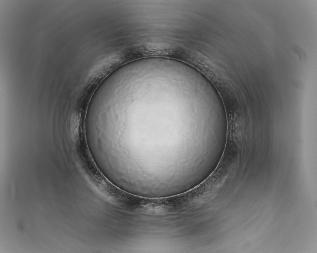 X0000111140742200906301230