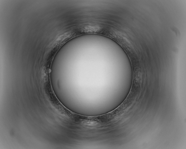 X0000111140743200906301230