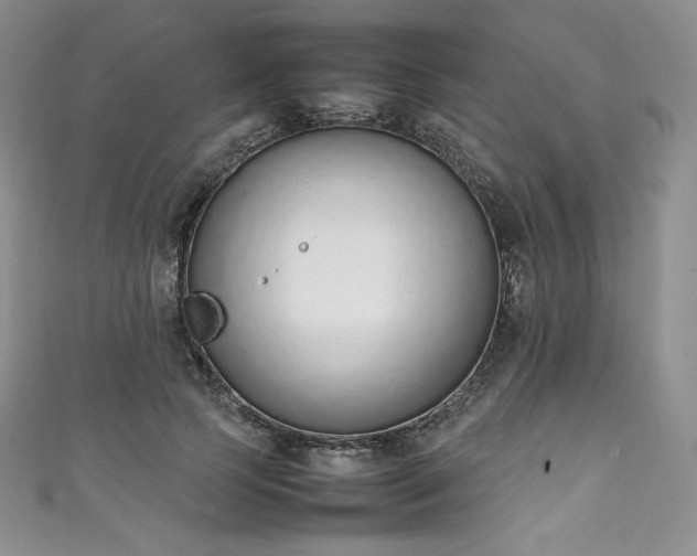 X0000111140745200906301230