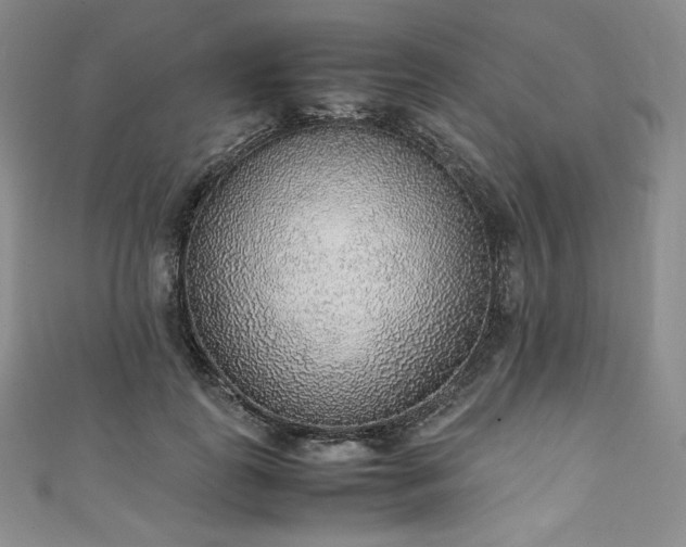 X0000111140747200906301230