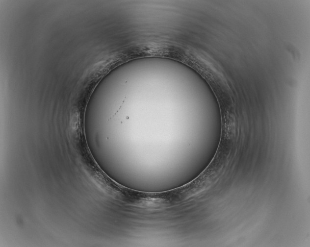 X0000111140748200906301230