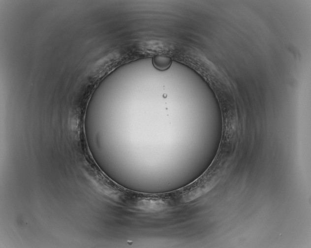 X0000111140749200906301230