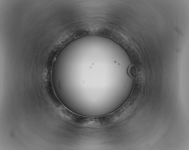 X0000111140750200906301230