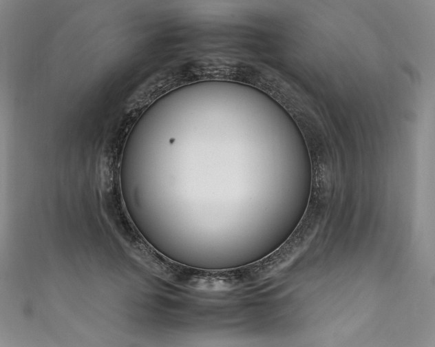 X0000111140751200906301230