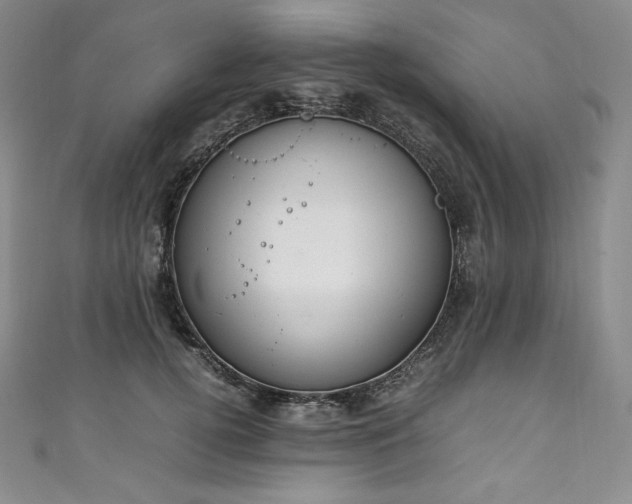 X0000111140752200906301230