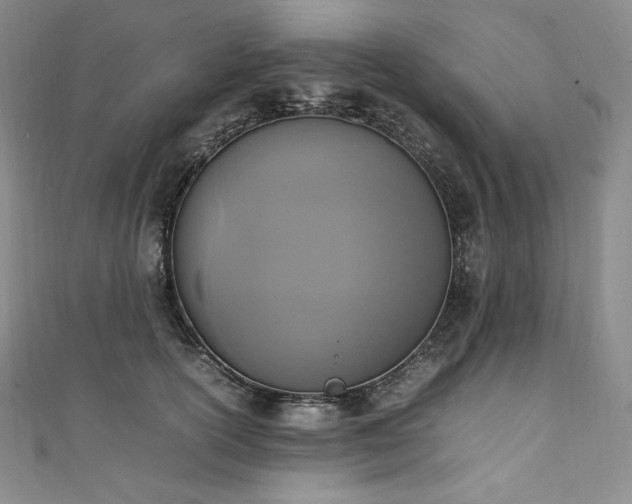 X0000111140754200906301230