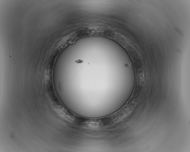 X0000111140756200906301230