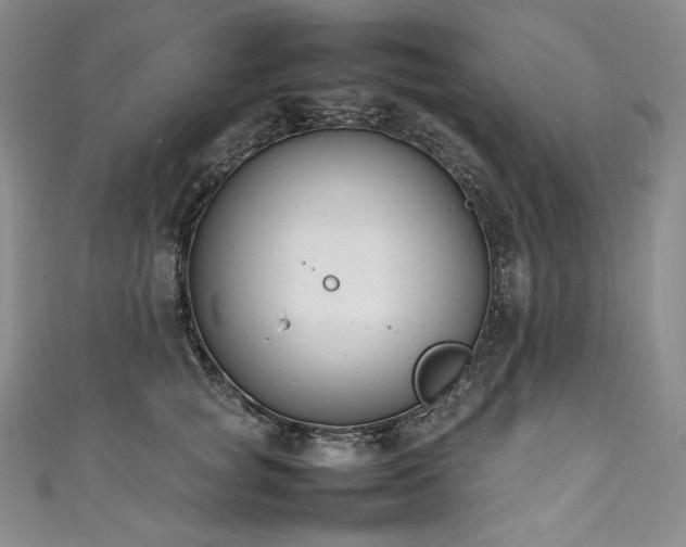 X0000111140757200906301230